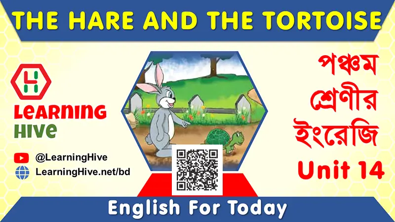 Class Five English - The Hare and The Tortoise, Unit 14