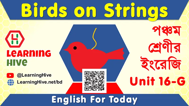 Class Five English - May I Come In? Birds on Strings, Unit 16