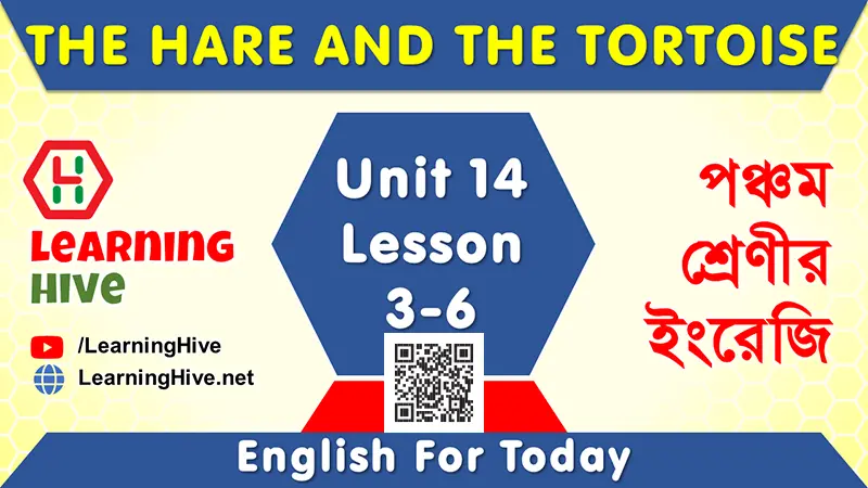 The Hare and The Tortoise - Class Five English Lesson